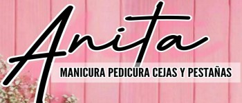 logo Anita La Venezolana