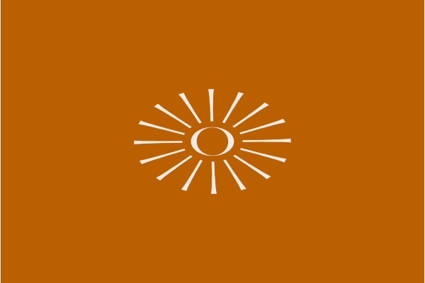 Ticuí logo