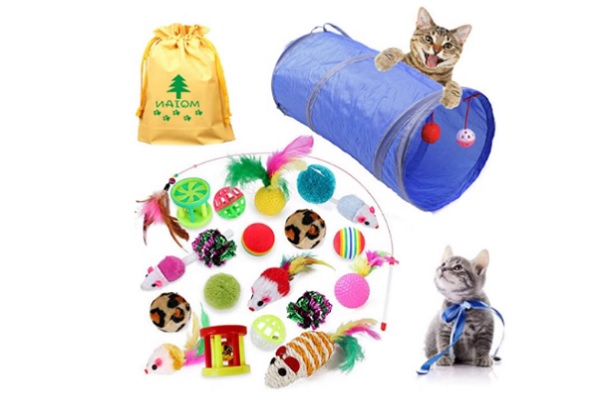 Mejores juguetes para gatos - Imagen con diferentes juguetes, como túnel para gatos, pelotas, peluches y mucho más, que hacen felices a los felinos