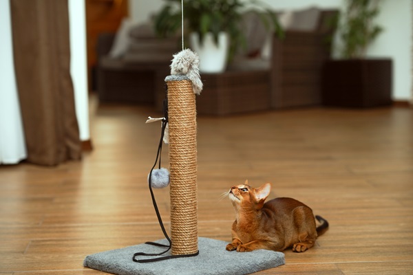 Rascadores para felinos, los cuales ayudan a afilar sus uñas, liberar el estrés y marcar territorio