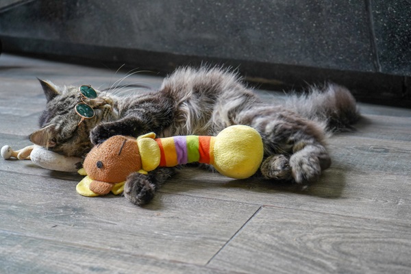 Mejores juguetes para gatos - Gato acostado completamente relajado, con lentes y abrazando su juguete favorito de peluche