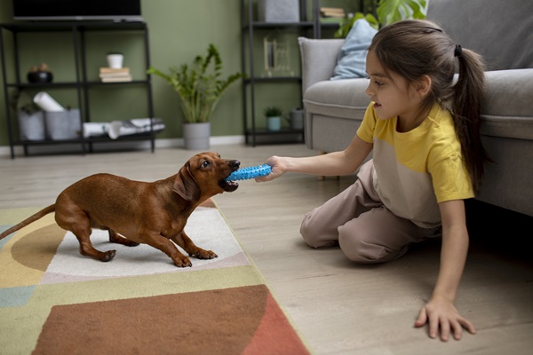 Niña jugando con su cachorro para entretenerlo de manera sana, ayudándolo a fortalecer su mandíbula