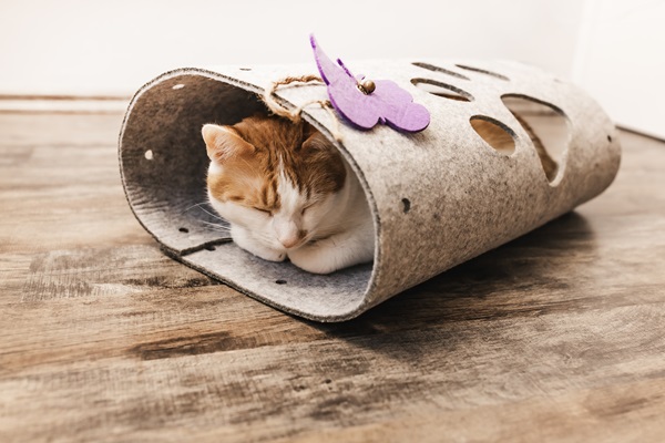 Mejores juguetes para gatos - Gato acostado y completamente relajado dentro de su túnel de felpa para dormir
