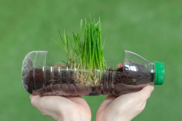Persona utilizando un envase de plástico para sembrar una planta y así cuidar el medio ambiente