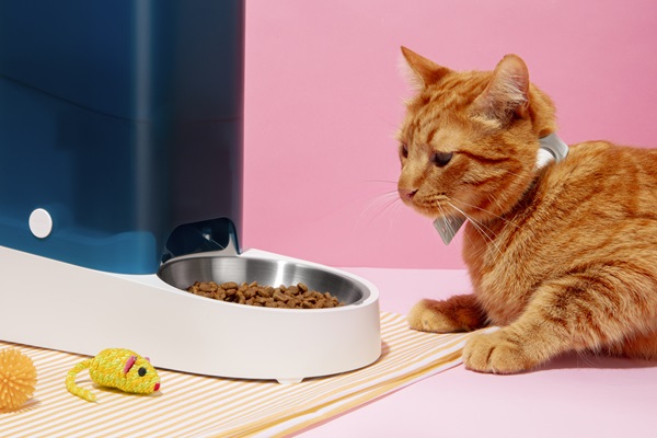 Comida para gatos - Gato observando un dispensador de alimentos automático, el cual le brinda la cantidad necesaria de comida para su desarrollo