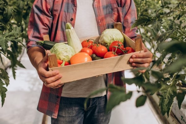 Hombre con camisa de cuadros sostiene una caja de madera con verduras y hortalizas frescas
