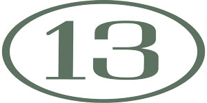 Logo de Manifesto 13