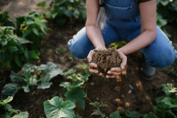 Tendencias gastronómicas - Persona sujetando en sus manos tierra abonada de una siembra de plantas