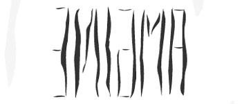 Logo de Enigma