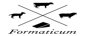 Logo de Formaticum