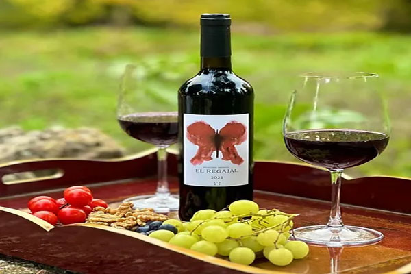 Mejores vinos de España - Presentación comercial de El Regajal Selección Especial 2021