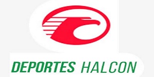 Tiendas de calzado deportivo - Logo deportes Halcón, zapatillas deportivas de hombre y mujer