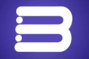 Logo bisel tienda de cuadros