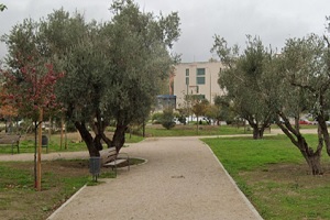 Parque de los Tres Olivos